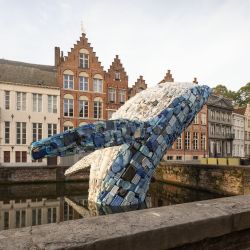 Giant plastic whale on its way to Utrecht