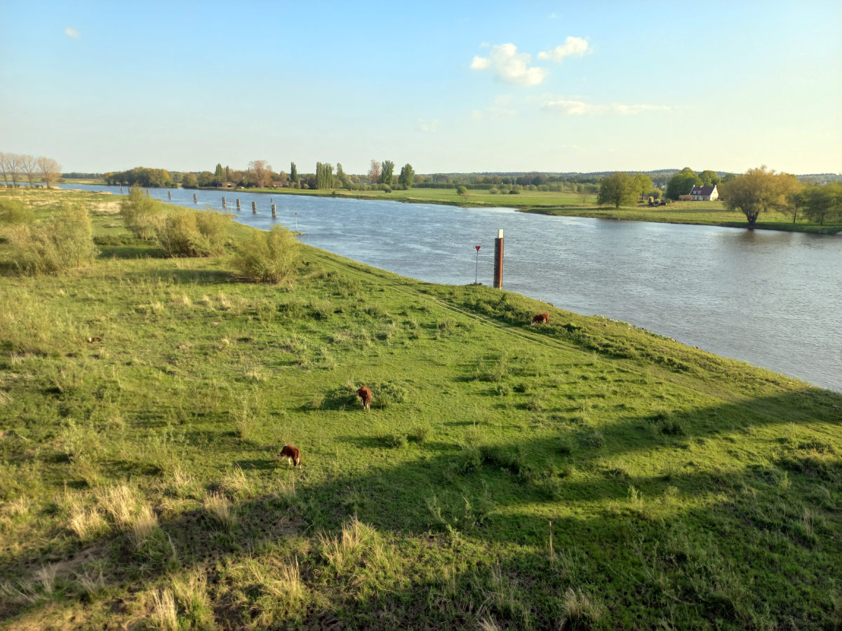 Zusammenarbeit zur Reduzierung von Kontrastmitteln im Flusswasser