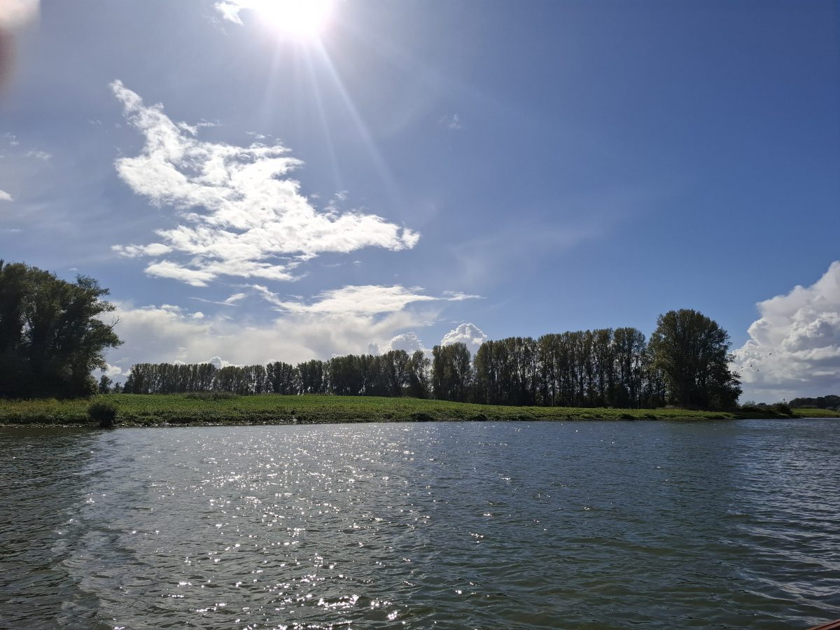 Geen grenswaarden in Duitse vergunningen